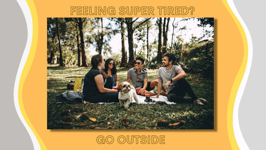 Group of adults and dog talking about feelings