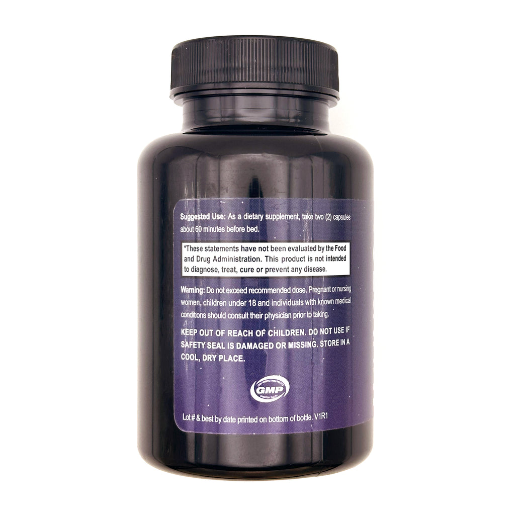 Gut / Brain Sleep